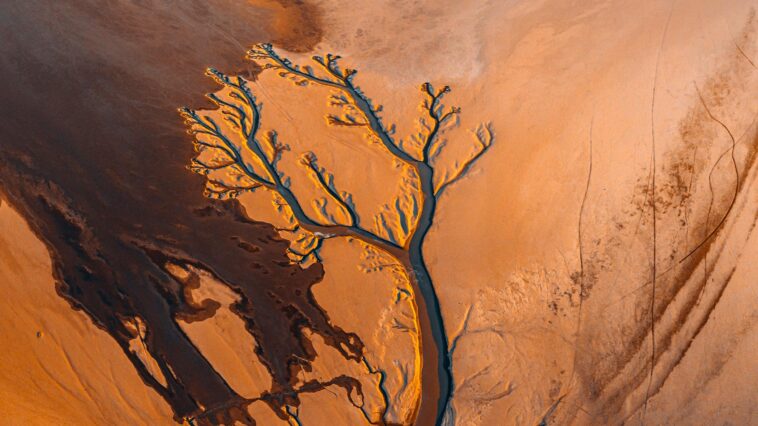 Jiangxi Poyang Lake River Drought