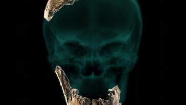 SciTechDaily
