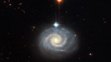 SciTechDaily