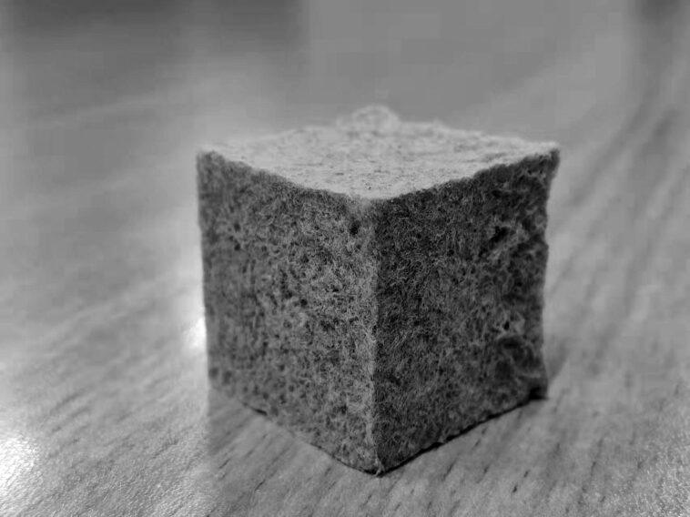 Des déchets de carton à la mousse durable : révolutionner l'emballage SciTechDaily