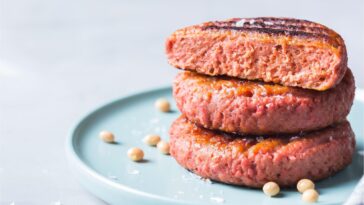 Plant Based Burgers Meat