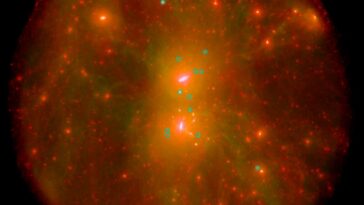 SciTechDaily