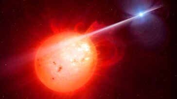 SciTechDaily