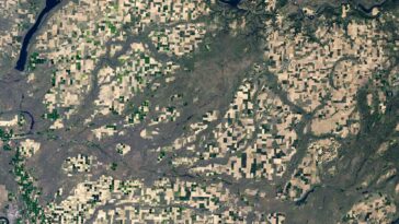 Échos de l'ère glaciaire : les spectaculaires Scablands sculptés par le lac glaciaire Missoula