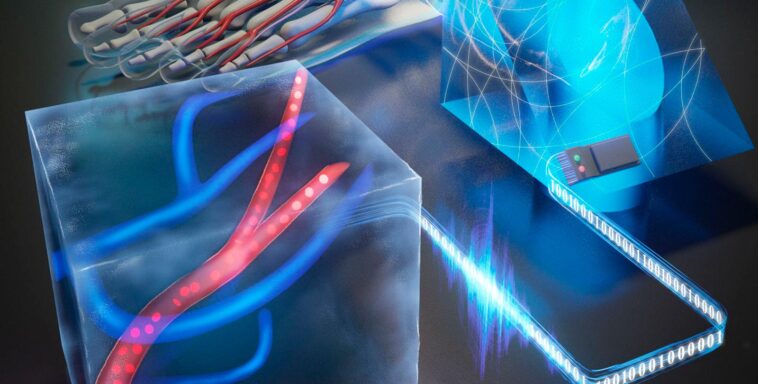 Échos de l'innovation : le saut 3D de Caltech dans l'imagerie photoacoustique laser SciTechDaily