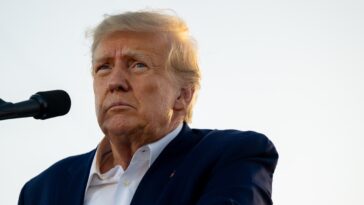 « Empoisonner le sang » : Donald Trump multiplie les propos anti-migrants lors d'un rassemblement dans le New Hampshire