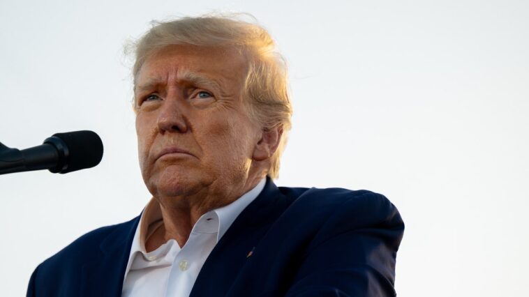 « Empoisonner le sang » : Donald Trump multiplie les propos anti-migrants lors d'un rassemblement dans le New Hampshire