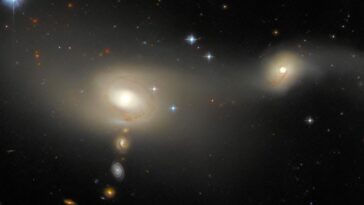 Galaxies à la parade : le superbe spectacle stellaire de Hubble