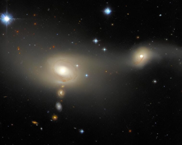 Galaxies à la parade : le superbe spectacle stellaire de Hubble