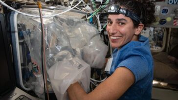 Insectes spatiaux et cœurs bio-imprimés : une semaine riche en sciences sur l'ISS