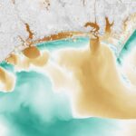 La vérité choquante : le séquençage génétique révèle une source inattendue d’agents pathogènes des eaux de crue SciTechDaily