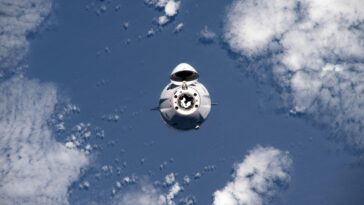 SciTechDaily
