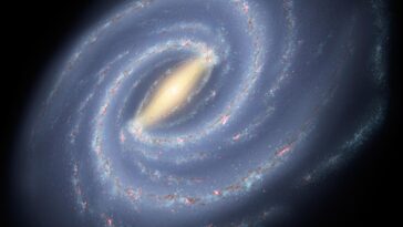 SciTechDaily