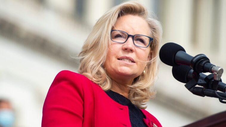 Liz Cheney, membre du Congrès républicain jusqu'à l'année dernière, déclare que les démocrates doivent reprendre la Chambre.