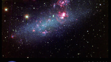 SciTechDaily