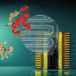 Counting Single Proteins With Superconducting Nanowire