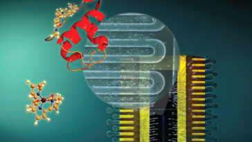 Counting Single Proteins With Superconducting Nanowire