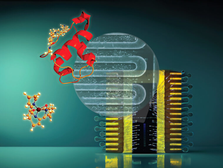 Counting Single Proteins With Superconducting Nanowire