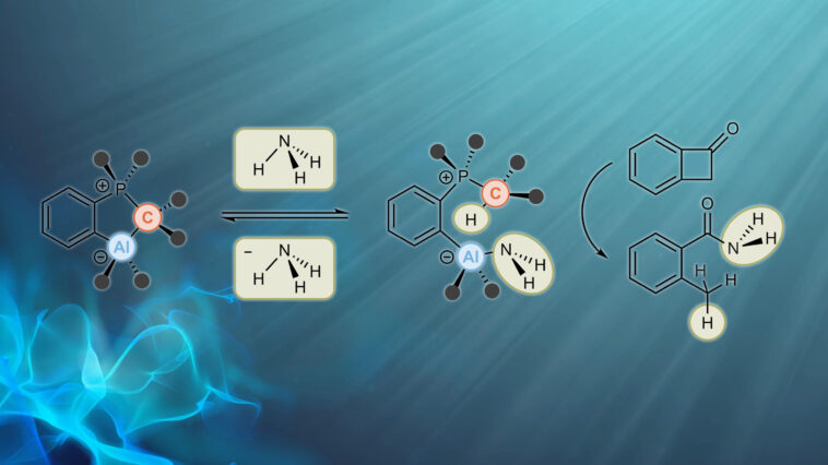 Percée de la chimie verte : transformer l’ammoniac en une source d’azote durable Percée de la chimie verte : transformer l’ammoniac en une source d’azote durable