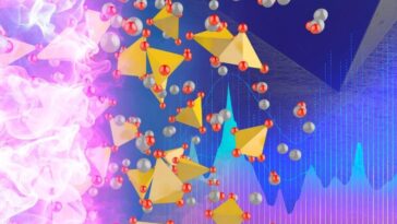 Behavior of Glassy Ion Conductors