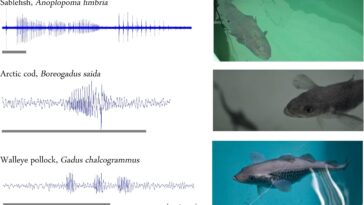 SciTechDaily