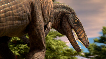 Prédateurs anciens, mystères modernes : cartographier le chemin évolutif du crocodile