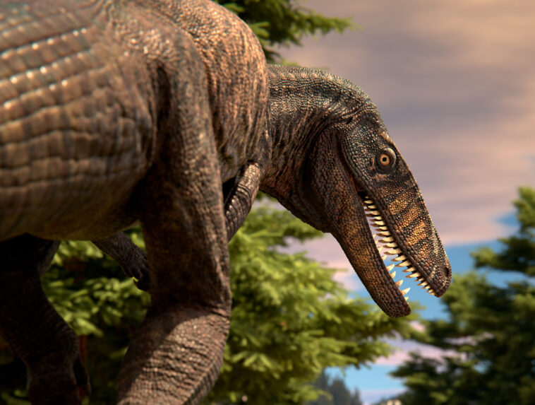 Prédateurs anciens, mystères modernes : cartographier le chemin évolutif du crocodile Prédateurs anciens, mystères modernes : cartographier le chemin évolutif du crocodile