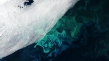 Rebondissements de la nature : des tourbillons spectaculaires dans le ciel et la mer autour de l'île aux ours isolée en Norvège