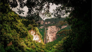 Amazon Rainforest