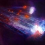 Révélation stellaire : démasquer les étoiles du courant magellanique après 50 ans de recherche