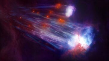 Révélation stellaire : démasquer les étoiles du courant magellanique après 50 ans de recherche