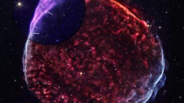 Révélations cosmiques : l'IXPE de la NASA démêle les théories entourant les vestiges historiques d'une supernova