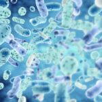 Probiotic Bacteria