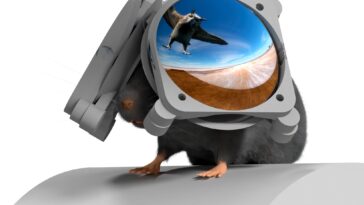 Overhead Threat VR Goggles