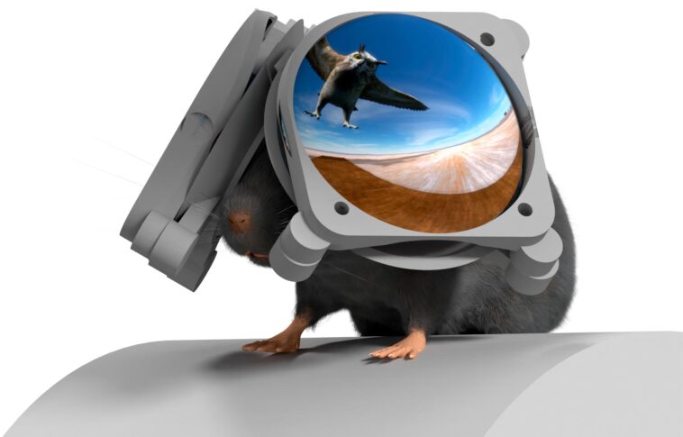 Souris dans Matrix : comment les petites lunettes VR transforment la recherche sur le cerveau Overhead Threat VR Goggles