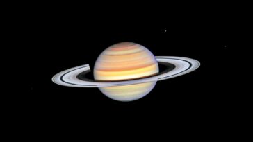 SciTechDaily