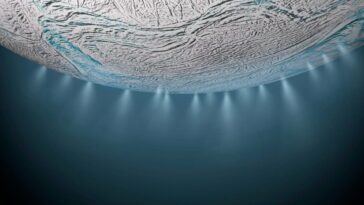 SciTechDaily