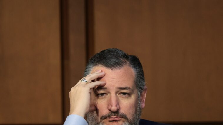 Ted Cruz ne discutera pas du traitement horrible infligé au Texas à la femme à qui on a refusé l'avortement malgré un diagnostic de fœtus mortel (parce qu'il sait à quel point cela a l'air mauvais)