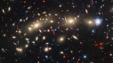 Un Noël cosmique : 14 objets transitoires découverts dans un amas de galaxies lointain