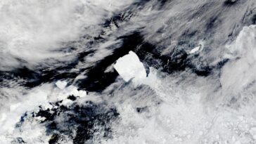 Un géant en liberté : le plus grand iceberg du monde prend la mer après des décennies d'immobilité