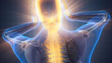 Pain Brain Neck Spine Illustration