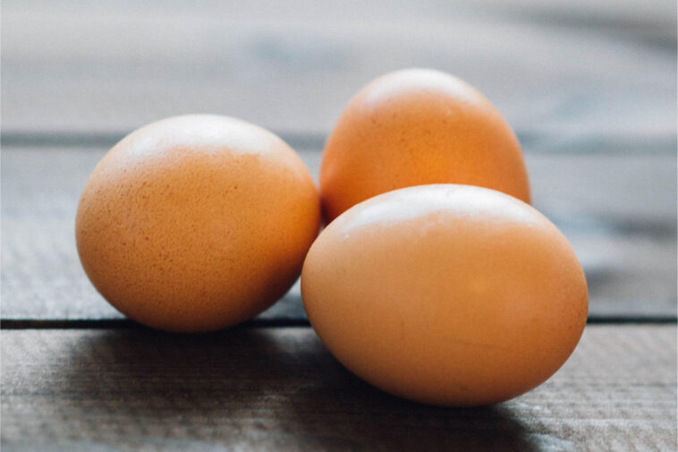 Une nouvelle recherche met en lumière les bienfaits surprenants des œufs pour la santé Brown Eggs