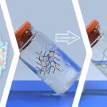 Superabsorbers Become Liquid Under UV Light After They Have Taken Up Sufficient Water