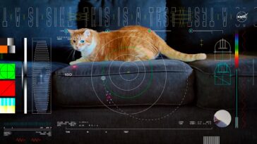 SciTechDaily
