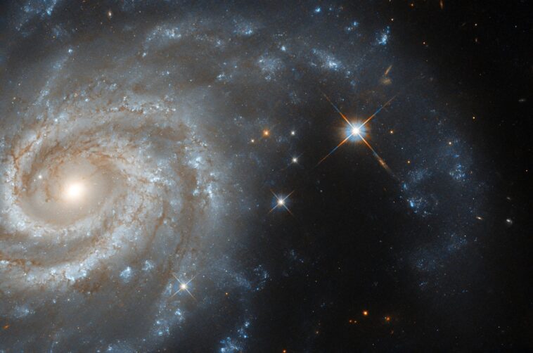 À la poursuite des galaxies à Lepus : à la recherche des secrets de supernova SciTechDaily