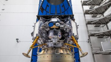 SciTechDaily