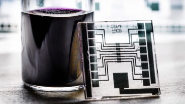 SciTechDaily