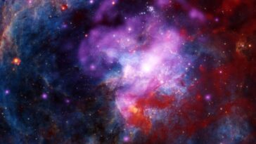 SciTechDaily
