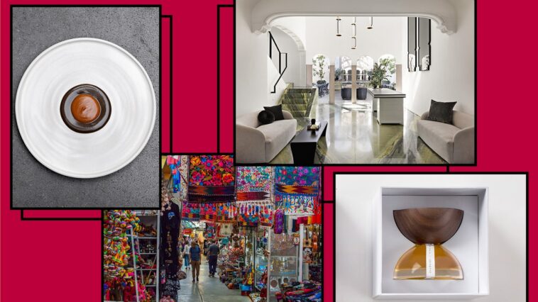 Dans cet hôtel de Mexico, l’évasion est la couleur verte