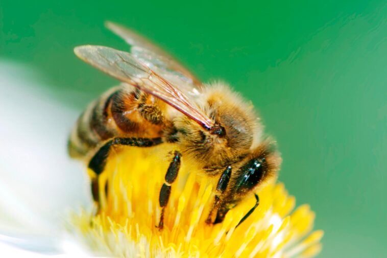 SciTechDaily